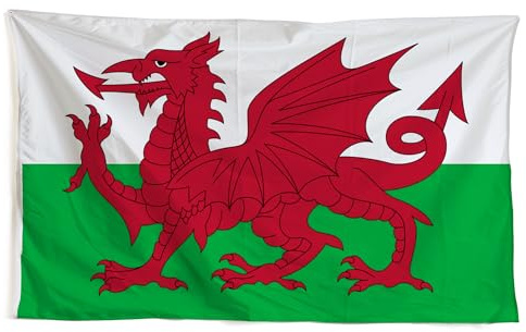TrendandStylez Bandera de Gales, 90 x 150 cm, con ojales para mástil, resistente a la intemperie