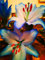 Lilium bulbi giganti.Giglio bulbi asiatico.Giglio bulbi.Fiori perenni resistenti-10 bulbi-F