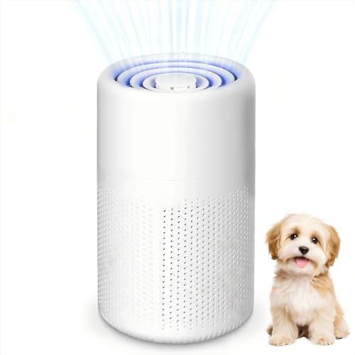 Purificador de Aire con Filtro HEPA Portátil USB, Elimina Olores Pelos de Mascotas y PM2.5, 5W Silencioso, para Hogar Auto Oficina 10m²
