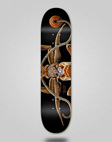 Powell Peralta monopatin Skate Skateboard Deck Biss Marion Moth 8.25