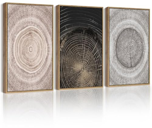 PHOPAGO Vintage Wood Tree Rings Wall Art Farmhouse Rustic Framed Canvas Paintings Living Room Bedroom Decor Nature Artwork 11x14in Natural Framed