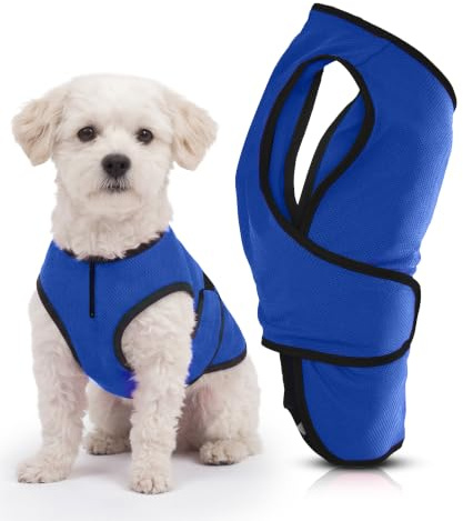 Hundemantel, Warnweste Hund & Hundekühlwesten – Leichte Jacke für Kleine Hunde, Reißverschluss, Für Spaziergänge & Draußen von Lautus Pets, S