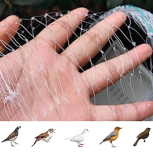Lcoay Filet Anti-Oiseaux, Filet Anti Pigeon pour Balcon(3m x 8m) | Filet Anti Oiseaux en Maille Filet de Protection de Nylon pour Jardin Étang Plantes Fruits Fleurs, Translucide