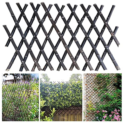 Recinzione espandibile in bambù, 60 x 200 cm, supporto da giardino per piante rampicanti, rampicanti, edera, rose, cetrioli, clematidi, pannello a reticolo marrone