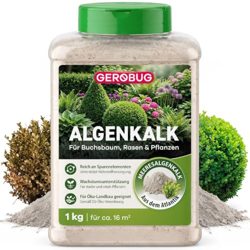 Gerobug Algenkalk 1 kg - Effektive Regeneration für anfällige Buchsbäume