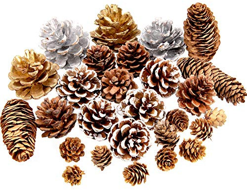 Whaline Tannenzapfen, 27 Stück, natürliche Tannenzapfen, Silber, Gold, Schnee, Zapfen, Fichte, Tannenzapfen zum Basteln, Geschenk, Weihnachtsbaumschmuck, Urlaub, Zuhause, 6 Stile, verschiedene Größen
