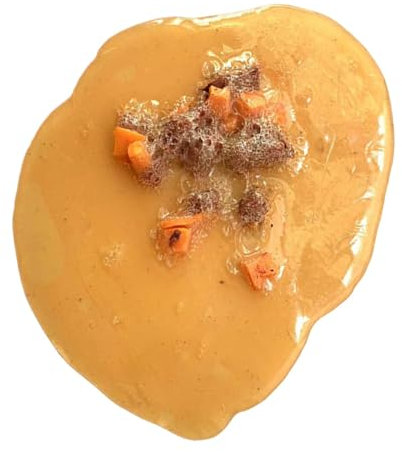 Holdes Fake Vomit Barf, jouet vomi | Jouet amusant pour plaisanteries, faux vomi pour amis, accessoires de film, fêtes de maquillage, démonstration éducative