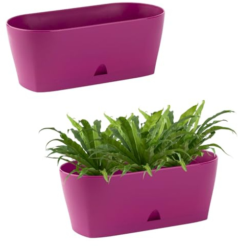 Engelland - 2 x Blumenkasten mit Untersetzer, Lila, Balkonkasten, Pflanztopf, 25 cm, Tischdeko, für Garten, Terrasse, Fensterbank, mit Wasserauffangschale, Innen- & Außenbereich, 1,7 Liter