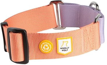 Woolly Wolf Color Block Halsband für große Hunde Gr. L Lachsrosa - Trainingshalsband mit maximaler Passform, Sanfte Kontrolle ohne Würgeeffekt, Aus recyceltem Material