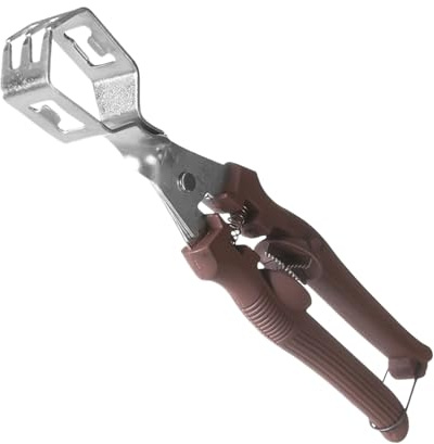 Herramienta Para Cortar Castañas,Pelador De Castañas Manual Para Cocina,Herramienta Cascanueces Para Cocina - Para Pecanas, Almendras, Nueces de Nogal, Adultos, Mayores, Hogar, Fiesta, Camping