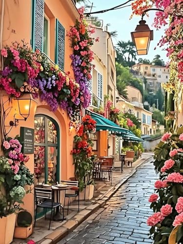 Yunruily Paint by Numbers Adults Street Scenery-Paint by Numbers Kits for Adults,Canvas Paint by Number for Adult for Gifts Home Wall Decor 12x16inch