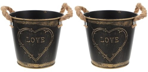 Didiseaon Pot De Fleurs en Fer Rétro pour Balcon - Seau À Fleurs Multifonctionnel Décoration Élégante pour Bureau Et Jardin 2 Pièces