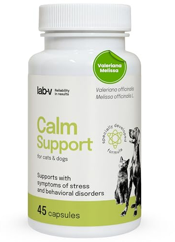 Lab-V Calm Support, 45 kapslar lugnande medel för hundar och katter, naturliga hundar lugnande med valerian, meliss & L-tryptophan, anti-stress medel hund vid bilresor, nyårsafton och resor