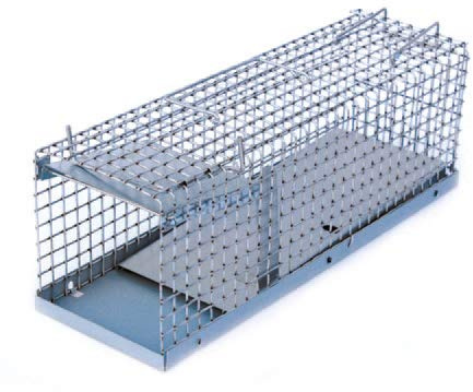 Kieferle Gitterfalle für Ratten, Wiesel und Siebenschläfer