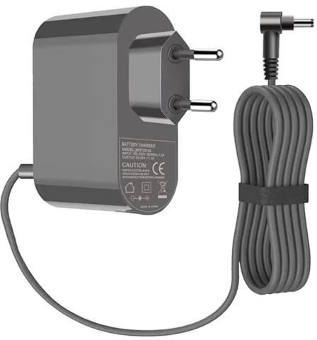 RAYPUR 30.45V EU Plug Power Adapter，Compatible for Dyson V10 V11 V12 V15 SV12 SV16 SV20，Vacuum Cleaner Battery Charger Power Supply Patr