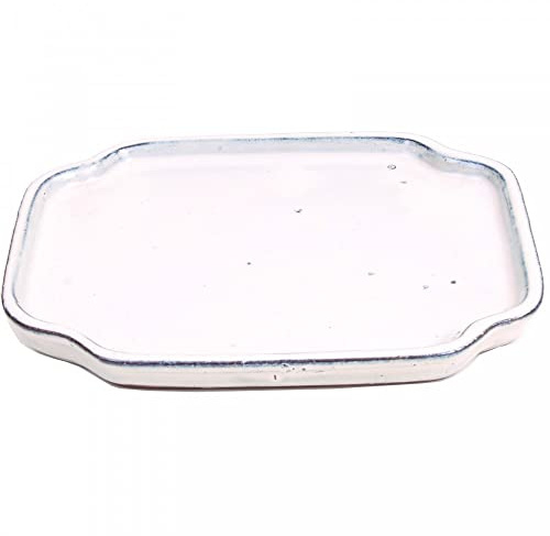 Bonsai - Untersetzer oval 24 x 18,5 cm, cremefarben 54960
