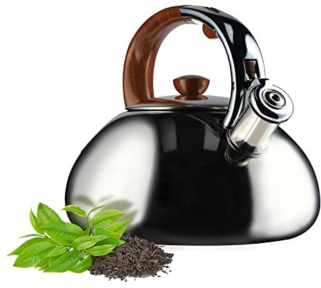 KADAX Bollitore a fischio, in acciaio inox, bollitore da 2,5 l, bollitore con manico antiscivolo, brocca d'acqua, bollitore per fornelli elettrici, a gas e in ceramica (argento)