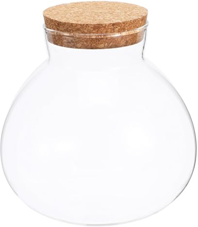 Abaodam Bouteille Écologique en Verre Transparent 15x16 Cm pour Plantes Succulentes Et Rangement La Cuisine Surface Lisse sans Aspérités