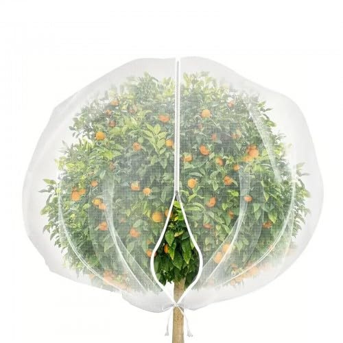 Filet de Protection pour Arbres fruitiers avec Fermeture éclair, Filet à Fruits en Maille Fine, adapté aux Oiseaux pour Fruits, Arbres fruitiers, fraisiers, légumes et Fleurs，100 x 120 cm