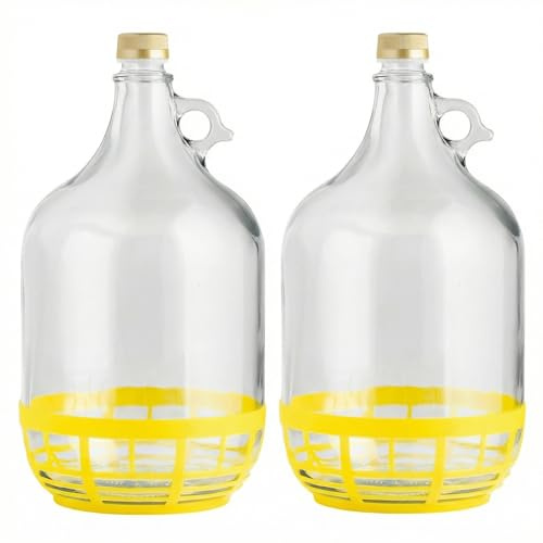 lilawelt24 2 x 5L Glasballon (Gallone) mit Rundgriff, Schraubverschluss & Schutzkorb - Glasflasche mit Henkel für Wein, Gärung & Saft