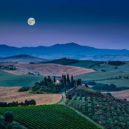 adrium Holz-Bild 90 x 90 cm: Malerische Landschaft der Toskana mit sanften Hügeln und Tälern im schönen Mondlicht im Morgengrauen, Val d Orcia, Italien(55032538)