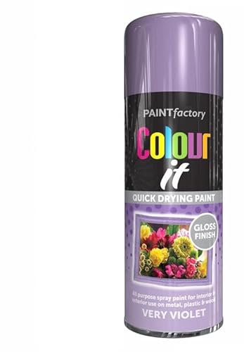 SuperGift.com Violet Gloss All Purpose Aerosol Spray Paint 400ml Quick Drying Spray, Fast Dry and Excellent Coverage for Metal, Wood, Plastic and More by Diva Gift