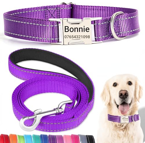 SEOUGEE Hundehalsband und Leine, Set mit gravierter Metallschnalle, reflektierenden Nylon-Hundehalsbändern und Leine für mittelgroße Hunde mit individuellem Namensschild, Telefonnummer