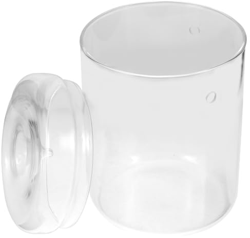 Toyvian Bouteille pour Terrarium Conteneur Décoratif pour Plantes DIY Vase de Table pour Décoration Compacte