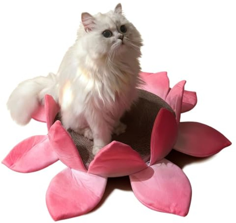 IRIRI Cama for Gatos con Forma de Flor, rascadores for Que los Gatos se afilen y descansen, decoración for el hogar, Muebles adorables for Mascotas