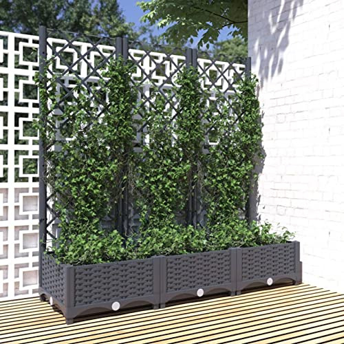 Gecheer Pflanzkübel mit Spalier Blumenkasten Pflanzkasten Blumenkübel Hochbeet Blumenkasten Gartenspalier Rankgitter Rankhilfe Schwarz 80x40x136 cm Polypropylen