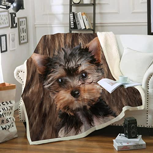 ZZXHG Coperta Pile Singolo 130x150 Yorkshire Terrier Marrone, Coperta Plaid di Peluche Flanella Letto Singolo, Doppio Strato Coperta Termica in Microfibra per Plaid Divano Copriletto