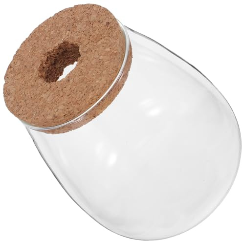 jojofuny Vase Hydroponique en Verre Grand Format avec Bouchon en Liège Perforé, Station de Propagation pour Plantes, Décoration Écologique pour Bureau et Jardin, Bocal à Eau