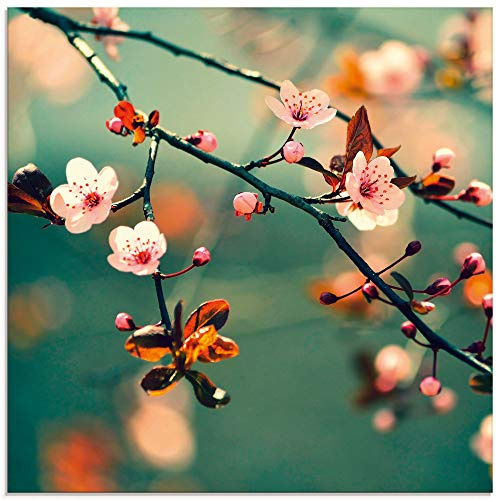 ARTland Wanddeko Glasbilder Wandbild Glas Bild einteilig 40x40 cm Quadratisch Natur Botanik Blumen Blüten Japan Kirschblüte Asien Zweig Frühling T5VP