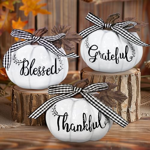 Fall Decorations for Home Set of 3 White Fall Pumpkin Decorations Indoor