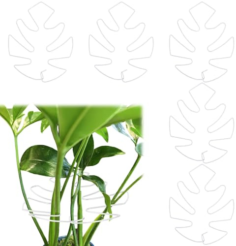 Fnaobai Lot de 5 supports de tige de plantes en bambou pour plantes grimpantes d'intérieur Monstera - Accessoires pour jardin extérieur - Pour garder les plantes en pleine croissance (blanc)