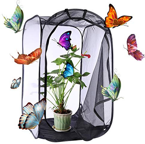 YVSoo Schmetterlinge Züchten Schmetterlingsgarten für Fang, Zucht Oder Beobachtete Schmetterlinge 60 x 60 x 90cm