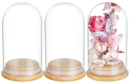 BENECREAT 3Pcs Dome Decorative Jars, 4x2.3inch Glass Display Dome Cloche Glass Bell Jar with Solid Wood Base for Flower Storage, Specimens, Crafts Decorations