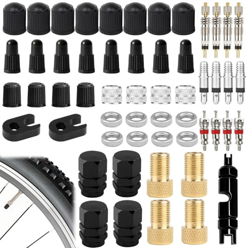 55 Stück Fahrradventil Set Fahrrad Ventile für Schwalbe Click Valve