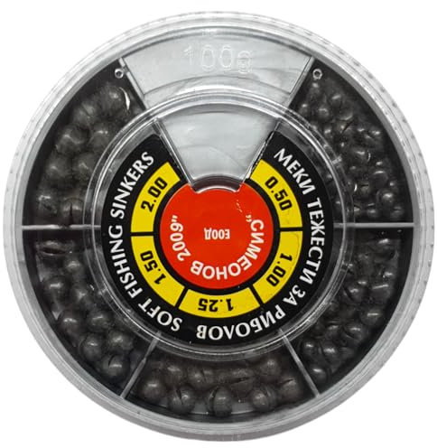 PRO FILSTAR Angeln Gewichte Set 100g - Schrotblei Angeln mit Aufbewahrungskiste - Bleikugeln - Bleigewichte - Weights Set - Lead Weight - Karpfenblei - Fischer Blei - Angelblei 0,5/1/1,25/1,5/2g