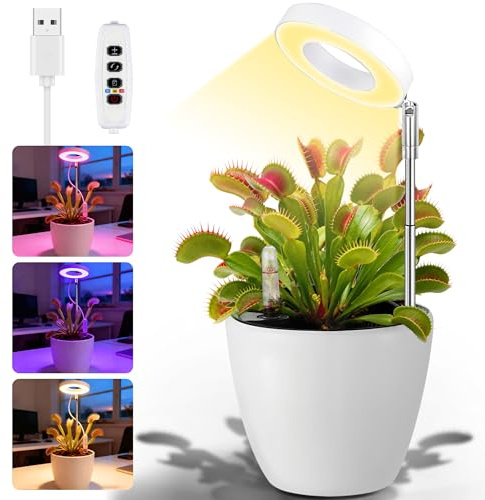 Churika Venus Flytrap Desktop Pot with LED Grow Light — Planter Pot with Air Vent for Indoor Succulents, Moss & Butterwort Plants, Unique Home & Office Desk Decor Gift