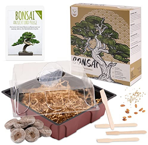 Bonsai Starter Kit Anzuchtset inkl. GRATIS eBook - Pflanzset aus Mini-Gewächshaus, Samen & Erde - nachhaltige Geschenkidee für Pflanzenfreunde (Samen: Ölbaum + Australische Kiefer)