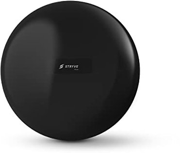 STRYVE Gymnastikball inkl. Ballpumpe 65cm, Balance Ball aus mattem PVC in schwarz, Sitzball für Büro, Trainingsball für Workouts, Inkl. Handpumpe