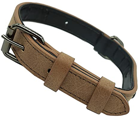 Hundehalsband Verstellbare, schlicht, robust, witterungsbeständig für Welpen Kleine Mittel Große Hunde Klassisches Halsband Hund (M: 2.5CM Breit für 39CM - 49CM Hals, Braun-neu)