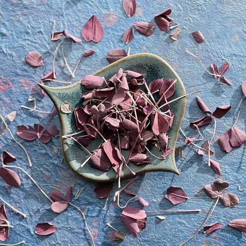 Edible Burgundy Sorrel Leaves - 400ml - Freeze Dried - UK Grown - Certified Food Grade (518)