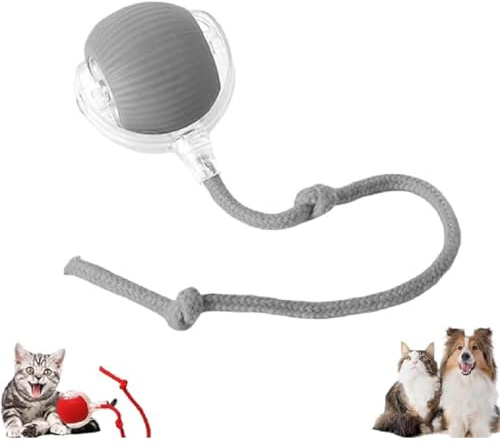 Chewie Interaktiver Rollender Ball - Katzenspielzeug, Hundespielzeug Mit Schnur, USB Aufladbar, Automatisch Rollend für Kleine, Mittlere Hunde (Grau)