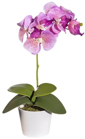 Lot de 2 Phalaenopsis env. 40 cm, lilas, 4 feuilles, dans un pot de 11 cm avec plante artificielle en mousse