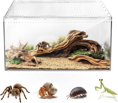 Reptiler, terrariumlåda, magnetisk akryl, hemlighetslåda, terrarium, stapelbar reptil, matningslåda för spindlar, skorpion, skalbagg, hornad groda (40 x 25 x 20 cm)