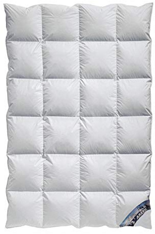 Arktic Kassetten Daunendecke Winterdecke extra-warm durch 8 cm Hochsteg (155x220 cm)