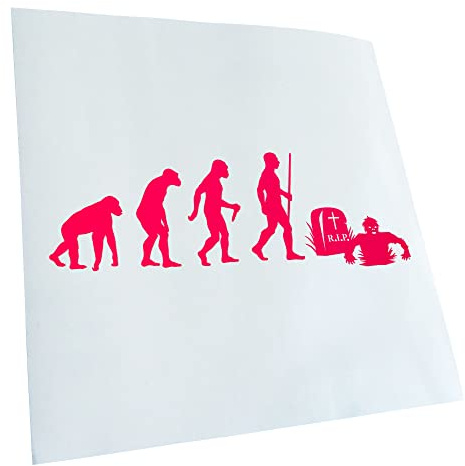 Kiwistar - Autocollant - Zombie Untot Evolution - 24 x 8 cm - pink néon - G24 - Pour voitures, vélos, véhicules, motos, cyclomoteurs, tuning, vitres arrière
