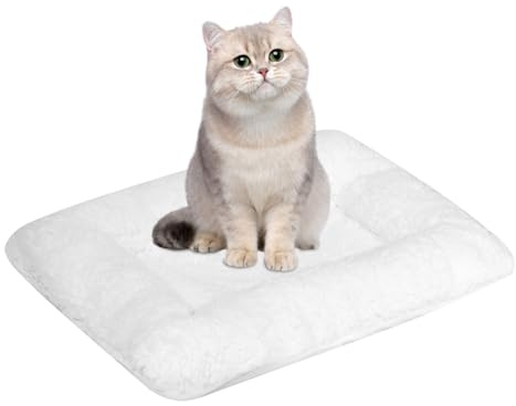 Bonlife Cat Mat Bed Indoor Cats, Soft Warming Lambs Wool Cat Blanket, 32cm | Large Cushion Pad for Pets Carriers, Winter Soft Cushion Suitable for Cat House, Washable Dog Bed Pad, 45x45x6cm, White